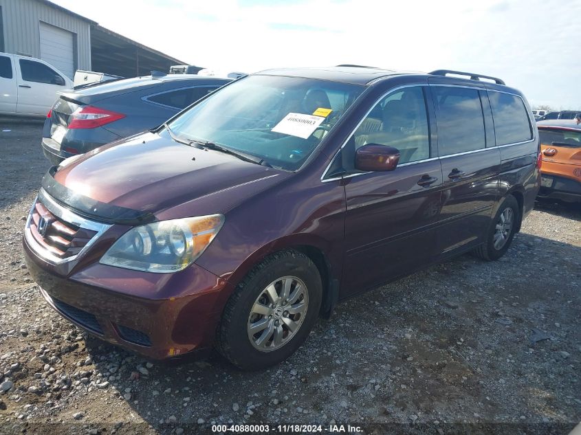 2009 Honda Odyssey Exl VIN: 5FNRL38749B406508 Lot: 40880003