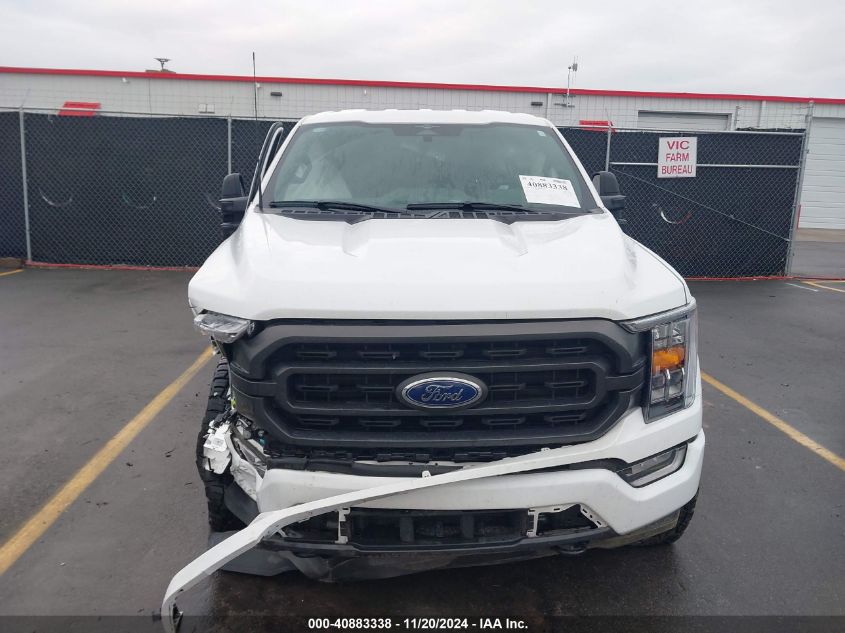 2023 FORD F-150 XLT - 1FTFW1E82PKF77575