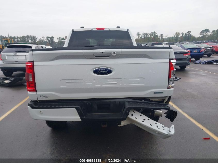 2023 FORD F-150 XLT - 1FTFW1E82PKF77575