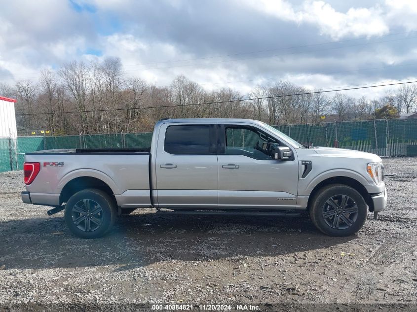 2023 Ford F-150 Xlt VIN: 1FTFW1ED8PFC97455 Lot: 40884821