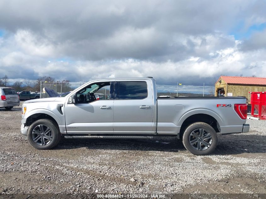 2023 Ford F-150 Xlt VIN: 1FTFW1ED8PFC97455 Lot: 40884821