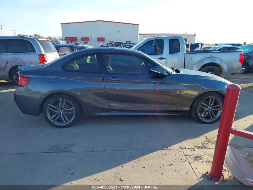 2018 BMW 230I VIN: WBA2J1C5XJVD09384 Lot: 40886523