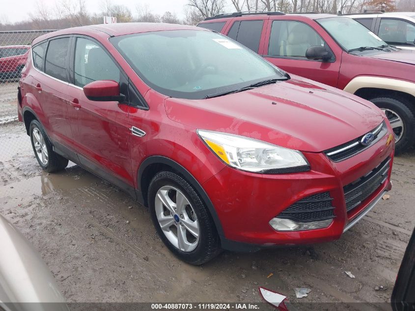 2014 Ford Escape