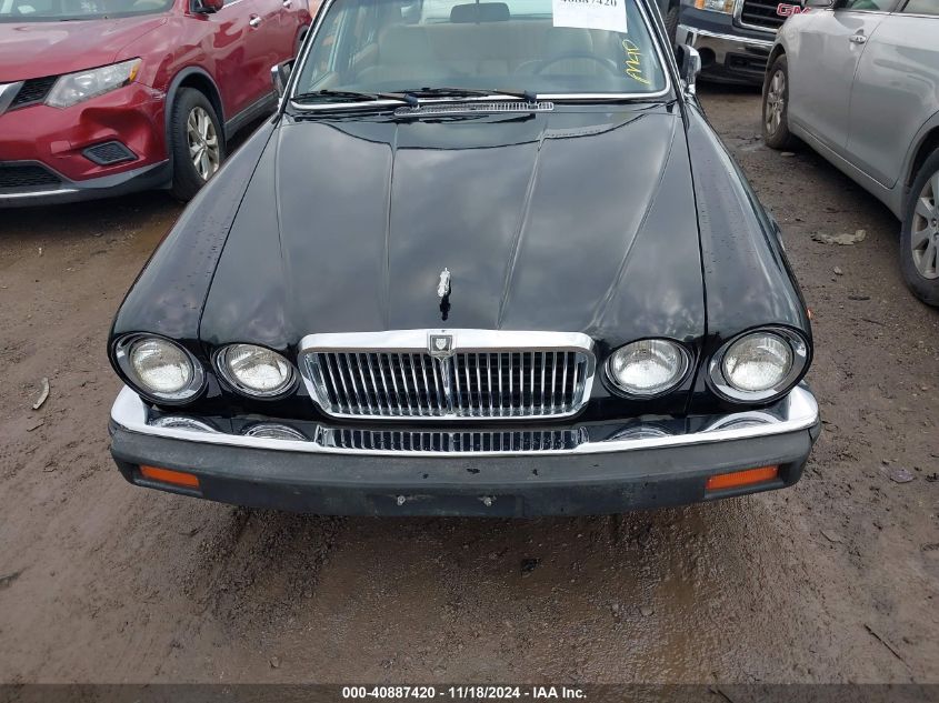 1984 Jaguar Xj6 VIN: SAJAV1345EC373150 Lot: 40887420