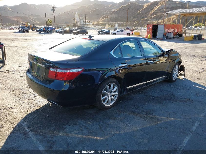 2009 Lexus Ls 460 VIN: JTHBL46F095091434 Lot: 40890291