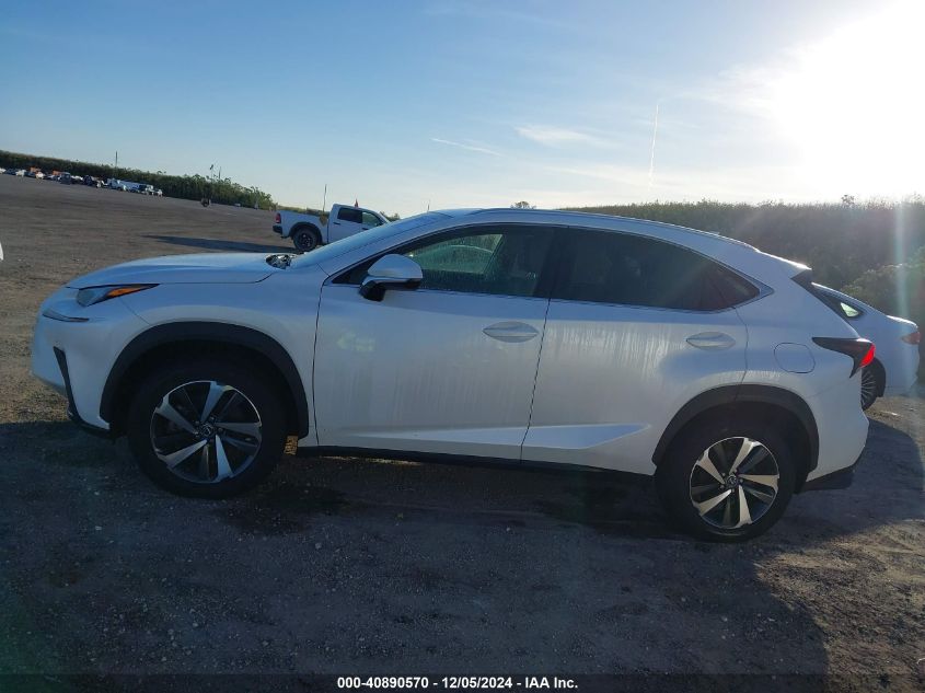 2019 LEXUS NX 300 - JTJYARBZ9K2141881
