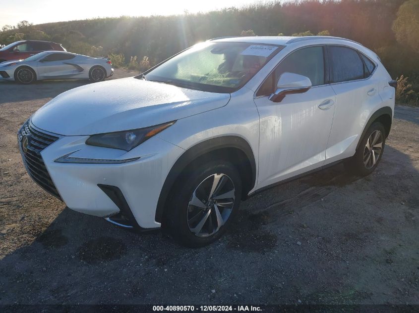 VIN JTJYARBZ9K2141881 2019 Lexus NX 300 no.2