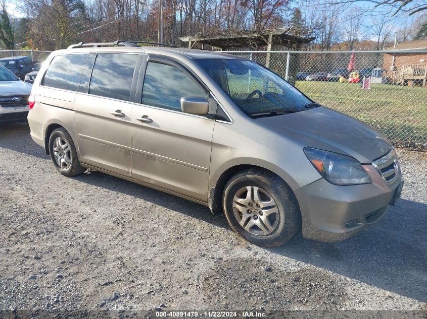 2005 Honda Odyssey Ex-L VIN: 5FNRL38795B127341 Lot: 40891479