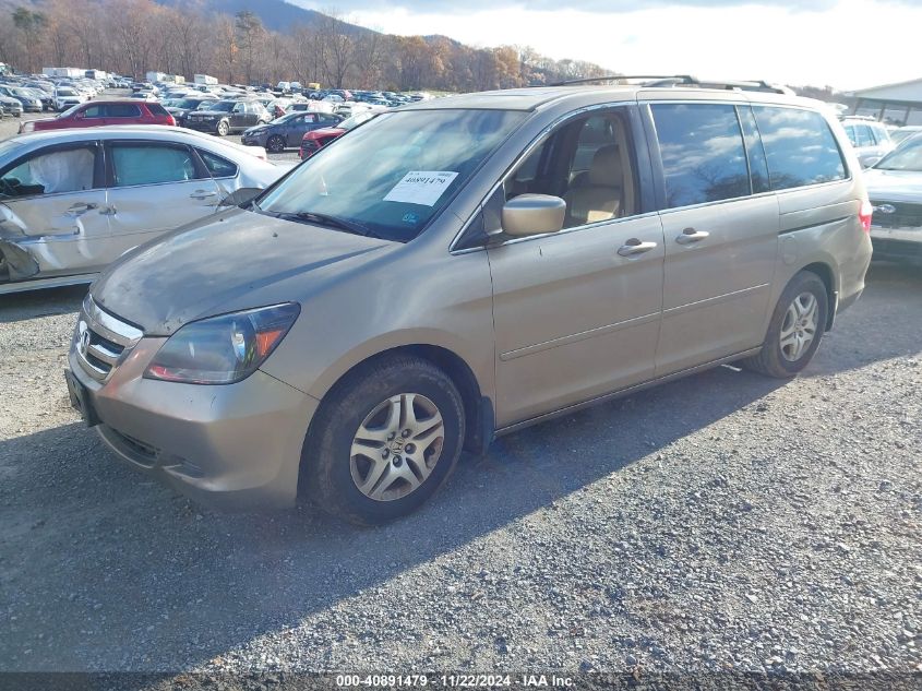 2005 Honda Odyssey Ex-L VIN: 5FNRL38795B127341 Lot: 40891479