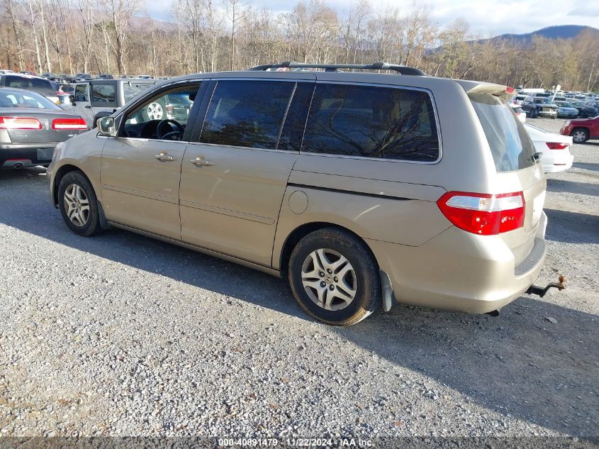 2005 Honda Odyssey Ex-L VIN: 5FNRL38795B127341 Lot: 40891479