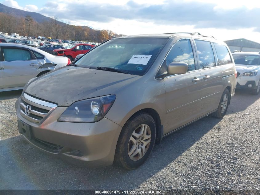 2005 Honda Odyssey Ex-L VIN: 5FNRL38795B127341 Lot: 40891479