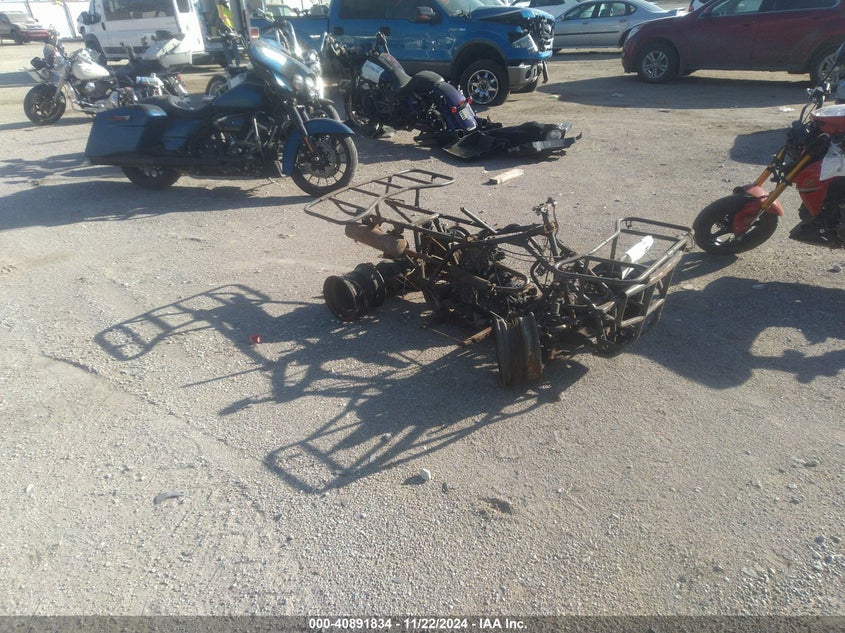 478TE214224215749 HONDA TRX250 Photo 1