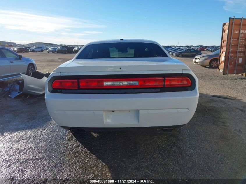 2013 Dodge Challenger Rallye Redline VIN: 2C3CDYAG7DH540639 Lot: 40891888