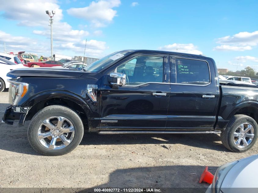 2022 Ford F-150 King Ranch VIN: 1FTFW1ED8NFA60395 Lot: 40892772