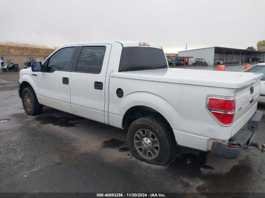 2010 Ford F-150 Xl VIN: 1FTEW1CW2AFB08404 Lot: 40893256