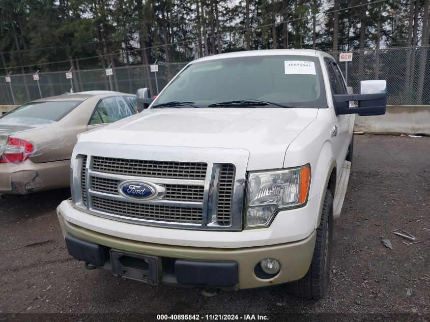 2010 Ford F-150 Fx4/Harley-Davidson/King Ranch/Lariat/Platinum/Xl/Xlt VIN: 1FTFW1EV2AKE17225 Lot: 40895842