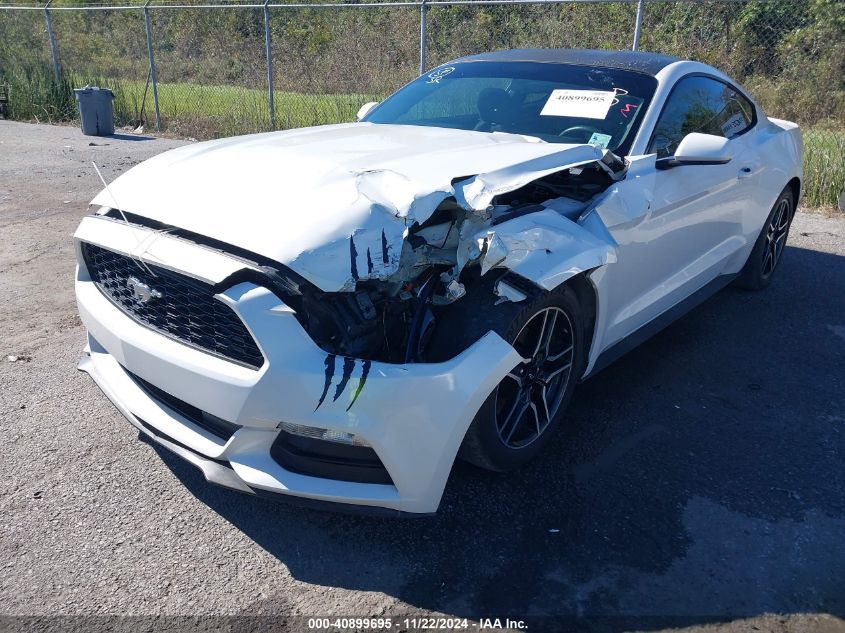 2017 Ford Mustang V6 VIN: 1FA6P8AM5H5319548 Lot: 40899695