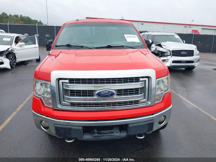 2013 Ford F-150 Xlt VIN: 1FTFW1EF6DFD74479 Lot: 40900265