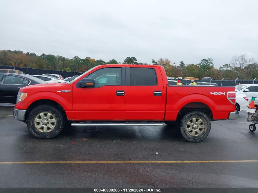 2013 Ford F-150 Xlt VIN: 1FTFW1EF6DFD74479 Lot: 40900265