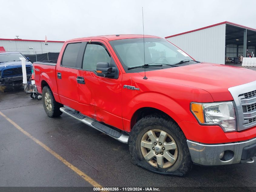 2013 Ford F-150 Xlt VIN: 1FTFW1EF6DFD74479 Lot: 40900265