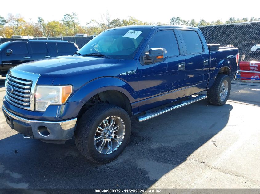 2010 Ford F-150 Xlt VIN: 1FTFW1EV2AFC20967 Lot: 40900372