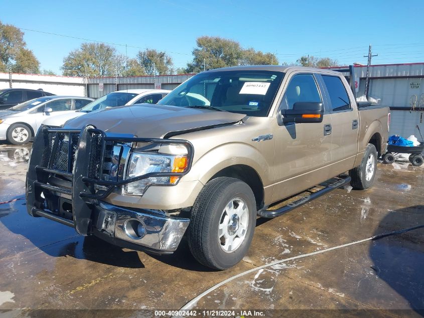 2011 Ford F-150 Xlt VIN: 1FTEW1CM2BFA72682 Lot: 40902442