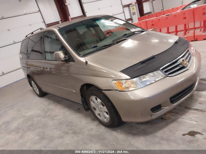 2004 Honda Odyssey Ex VIN: 5FNRL18664B041804 Lot: 40902473