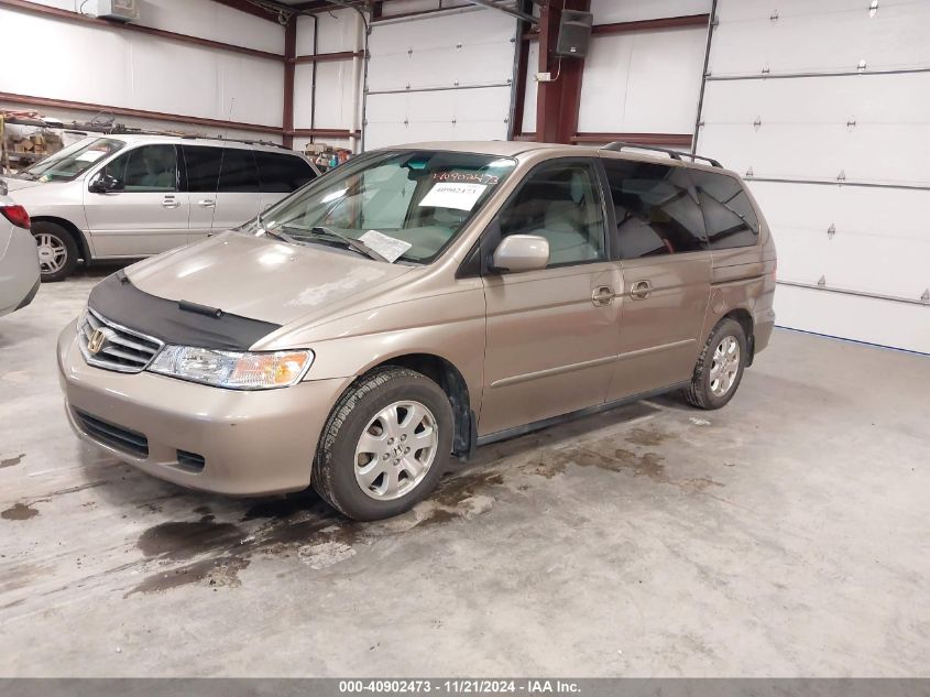 2004 Honda Odyssey Ex VIN: 5FNRL18664B041804 Lot: 40902473