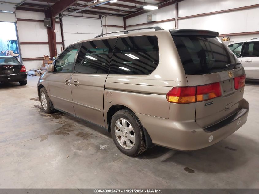 2004 Honda Odyssey Ex VIN: 5FNRL18664B041804 Lot: 40902473