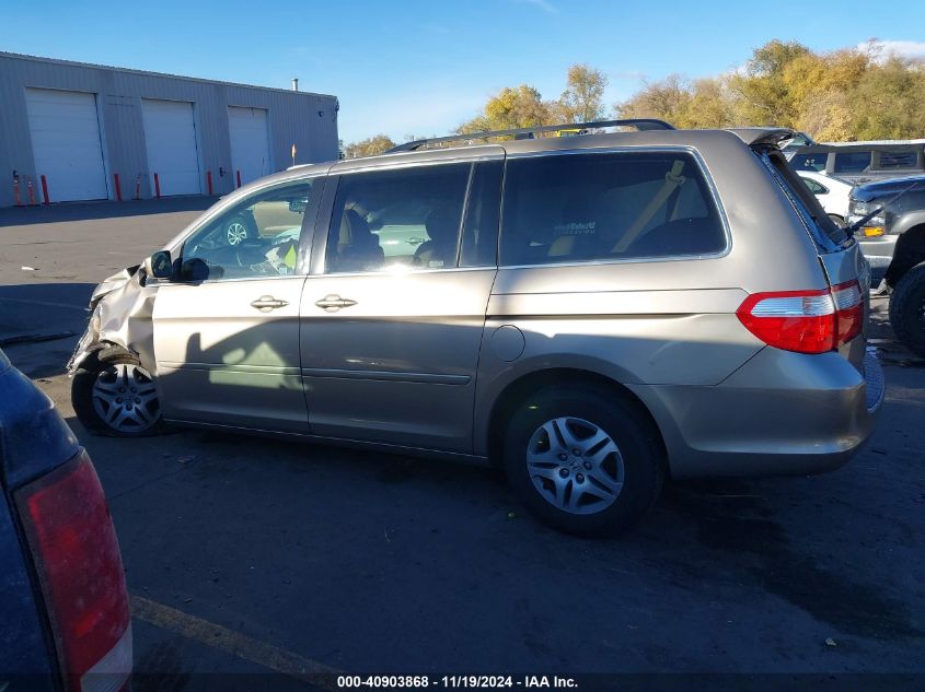 2007 Honda Odyssey Ex-L VIN: 5FNRL387X7B423777 Lot: 40903868