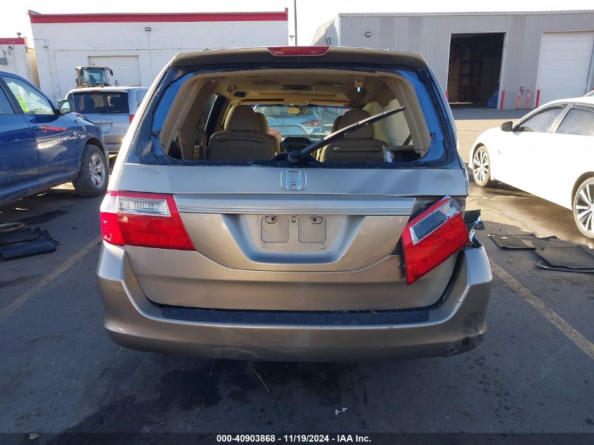 2007 Honda Odyssey Ex-L VIN: 5FNRL387X7B423777 Lot: 40903868