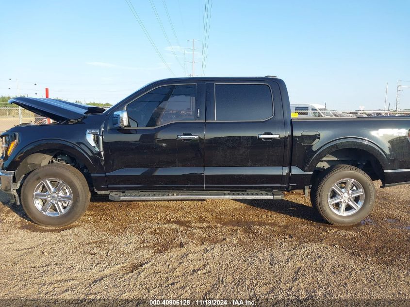 2024 Ford F-150 Xlt VIN: 1FTFW3L88RKE35796 Lot: 40906128