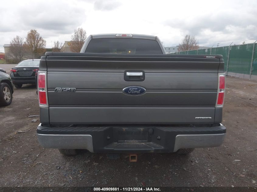 2013 FORD F-150 XLT - 1FTEX1EM6DFD39089