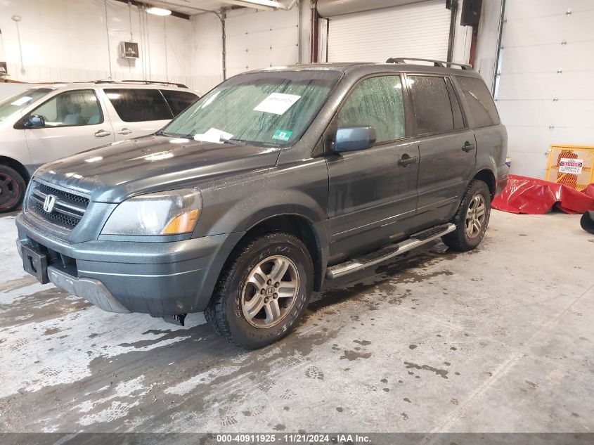 2005 Honda Pilot Ex-L VIN: 5FNYF18605B048414 Lot: 40911925