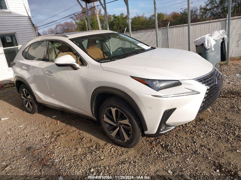 2019 Lexus Nx 300H VIN: JTJBJRBZ0K2125641 Lot: 40912063