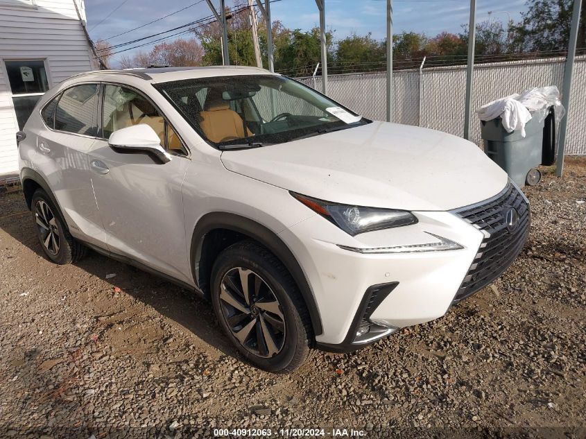 2019 Lexus NX, 300H