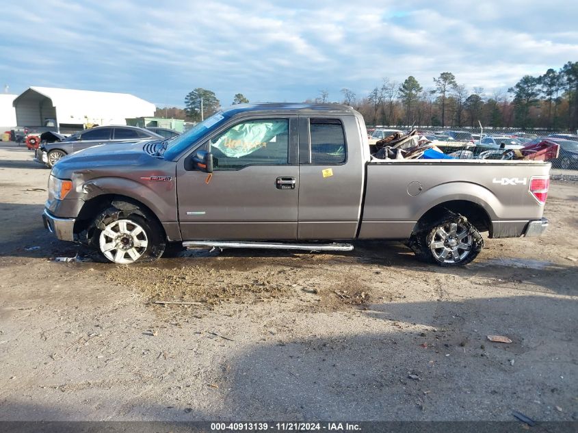 2014 Ford F-150 Xlt VIN: 1FTFX1ETXEKF59467 Lot: 40913139