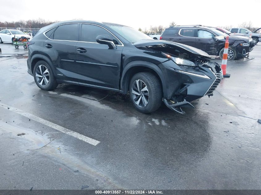 2019 Lexus NX, 300H