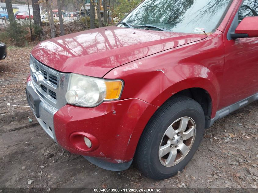 2010 Ford Escape Limited VIN: 1FMCU0E78AKD43003 Lot: 40913988