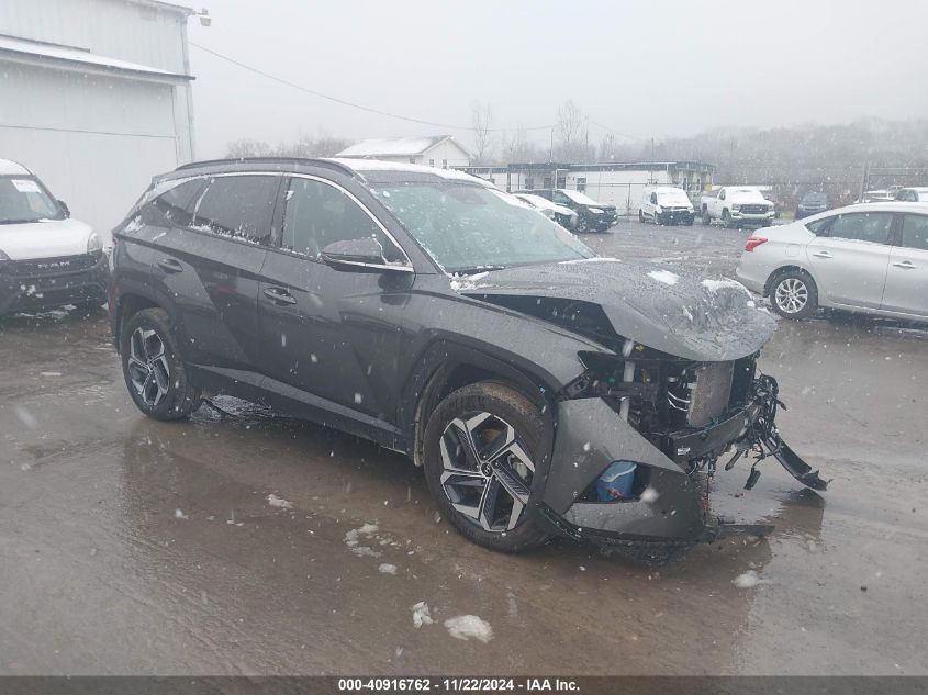 2024 Hyundai Tucson Hybrid Limited VIN: KM8JECD10RU166045 Lot: 40916762