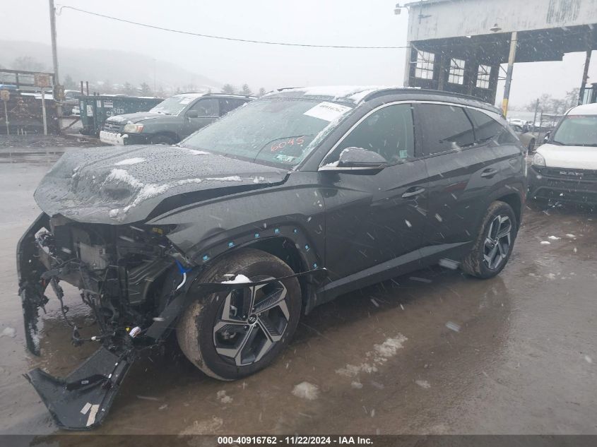 2024 Hyundai Tucson Hybrid Limited VIN: KM8JECD10RU166045 Lot: 40916762