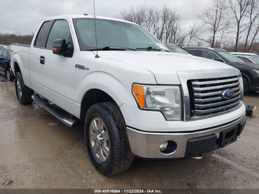 2011 Ford F-150 Xlt VIN: 1FTFX1EF0BFA58005 Lot: 40916864