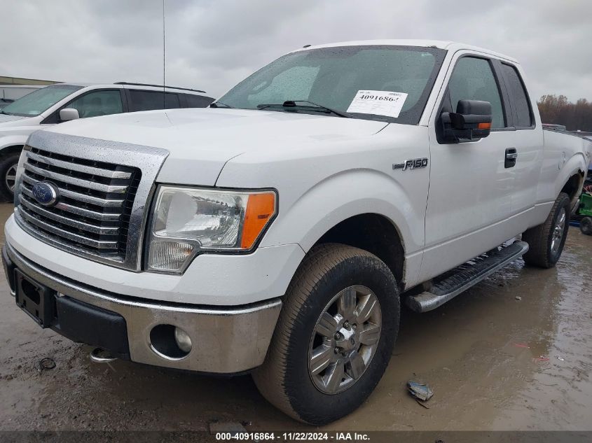 2011 Ford F-150 Xlt VIN: 1FTFX1EF0BFA58005 Lot: 40916864