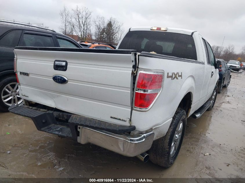 2011 Ford F-150 Xlt VIN: 1FTFX1EF0BFA58005 Lot: 40916864