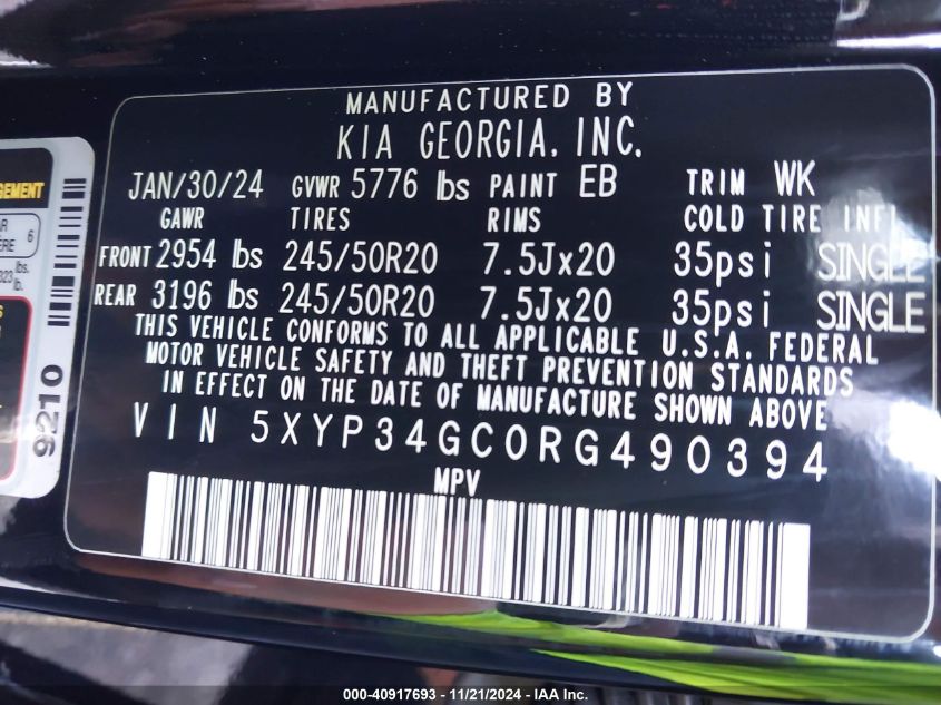 2024 Kia Telluride Ex VIN: 5XYP34GC0RG490394 Lot: 40917693