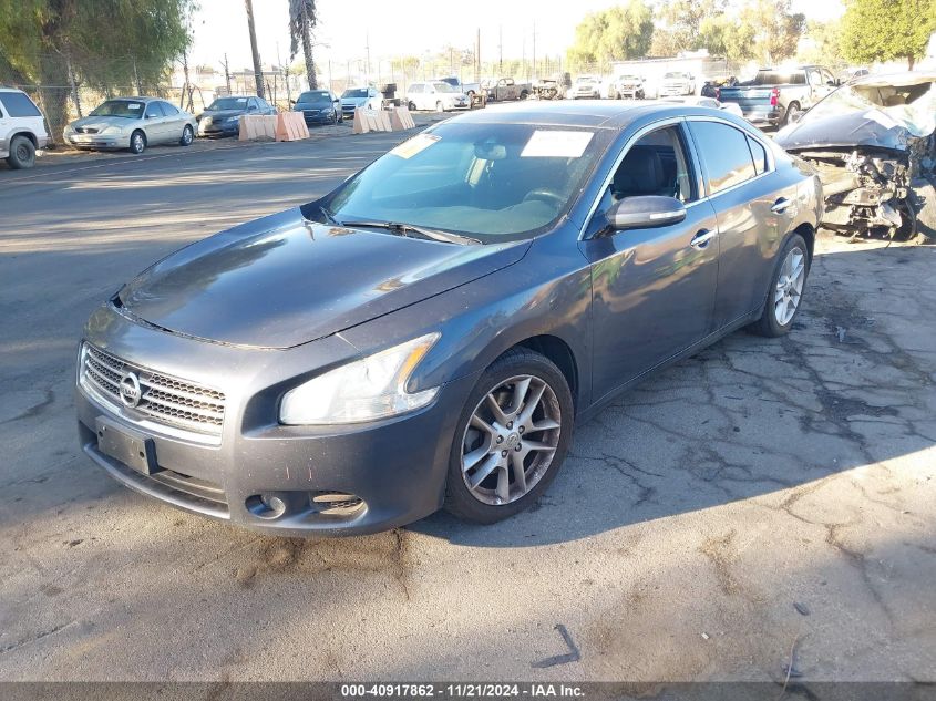 2009 Nissan Maxima 3.5 Sv VIN: 1N4AA51E99C809040 Lot: 40917862