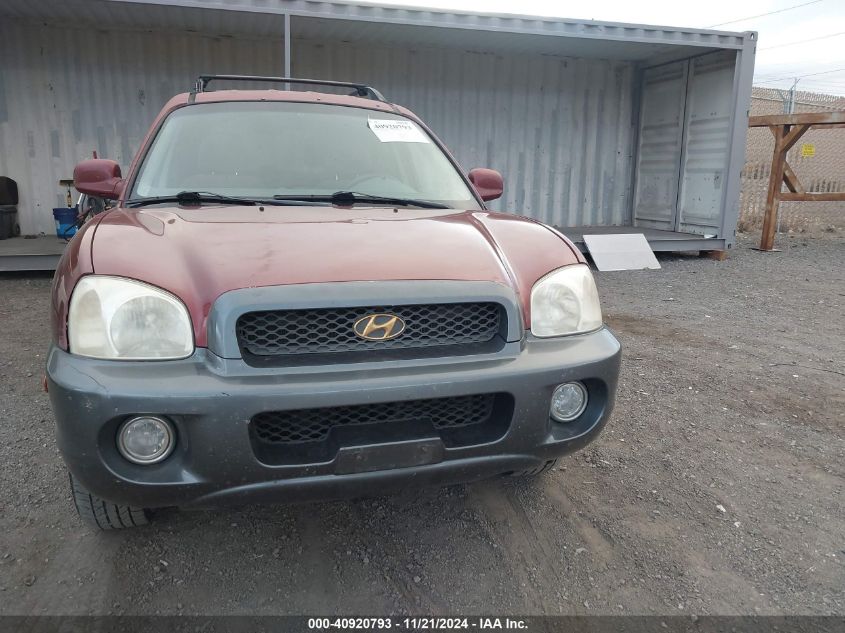 2003 Hyundai Santa Fe Gls/Lx VIN: KM8SC13D03U355764 Lot: 40920793