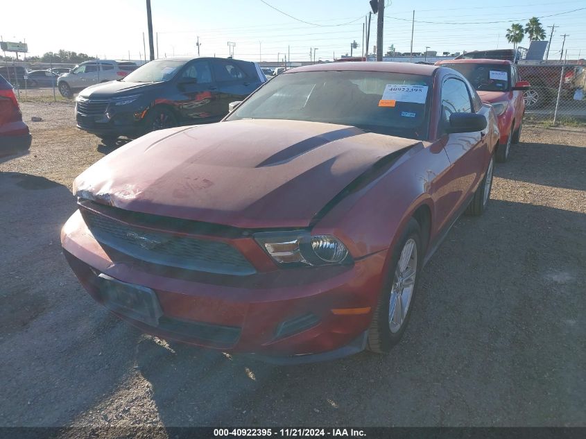 2010 Ford Mustang V6/V6 Premium VIN: 1ZVBP8AN0A5156814 Lot: 40922395