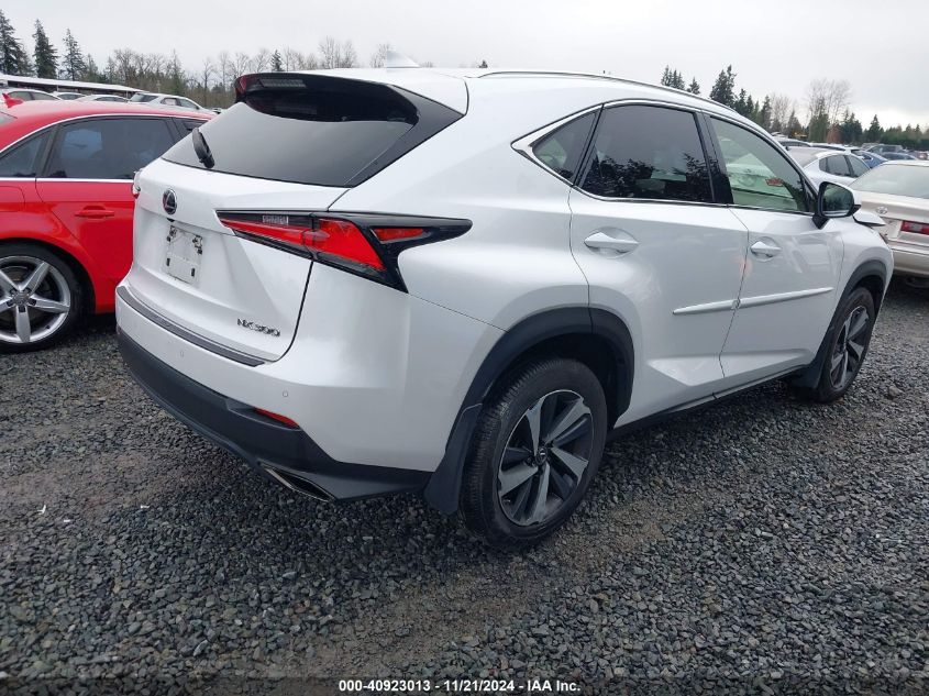 2020 Lexus Nx 300 VIN: JTJGARDZ8L5013642 Lot: 40923013