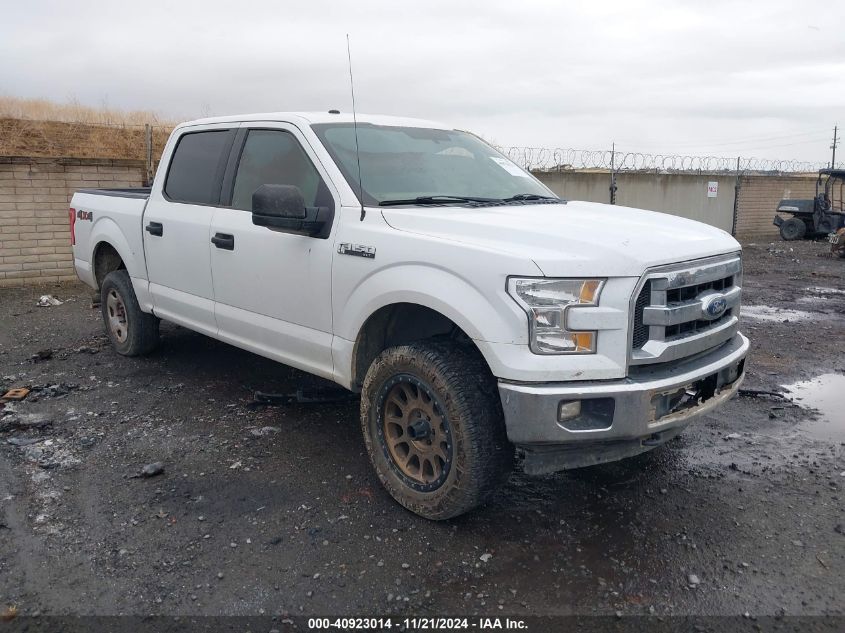 2017 FORD F-150 XLT - 1FTEW1EF9HKD75442